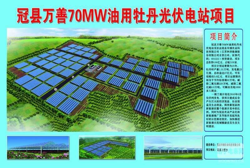 冠縣萬善70MW油用牡丹光伏電站項目圖